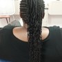 Tree Braids