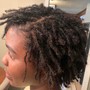 Starter Locs