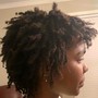 Starter Locs