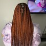 Small Waist Length Senegalese Twist