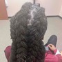 Tree Braids