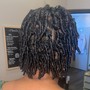 Starter Locs