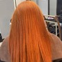 Root Touch Up (Blonde Hair)