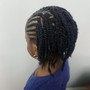 Senegalese Twist 26 to 30