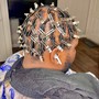 Starter Locs/Comb Twist