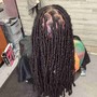 Soft Locs (Back Length)