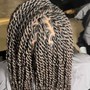 Medium Senegalese Twist