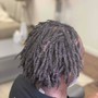 Starter Locs