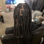 Kid's starter locs