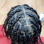 Natural Twists