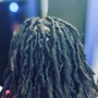 Starter Dreadlocks