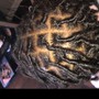 Starter Locs