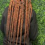 Medium Knotless Box Braids