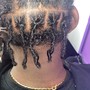 Starter Locs