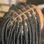 Medium Senegalese twist with hair