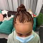 Ghana Feeder Braids Medium (12 or less braids)