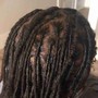 Highlights  $35