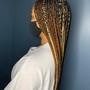 Comb Twist