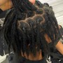 Starter Locs (Crochet Method)