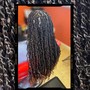 Small Passion Twists-Hair Included (Lower Back Length)