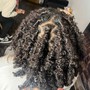 Full Head Soft Loc or Butterfly Touch Up