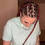 Half N Half / Fulani Braids/ Tribal Braids