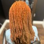 Root Touch Up