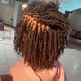 Small starter locs