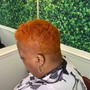 Cut/style  with bleach and tone color package