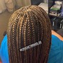 Box Braids Touch up