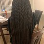 Kinky Twist