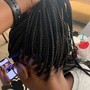 Small Box Braids