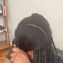 Feed in Braids