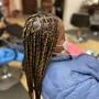 Starter Locs