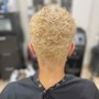 Double Process Color (short pixie/cesar cuts only)