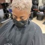 Double Process Color (short pixie/cesar cuts only)