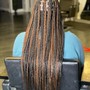 Root Touch Up