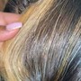 Root Touch Up