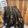 Small Box Braids