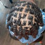 Bantu Knots (Large)