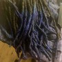 Loc Extensions