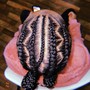 Tribal Braids