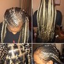 Box Braids (large/midback)