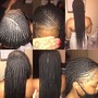 Box Braids (large/midback)