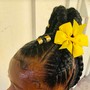 Butterfly locs(Hair Included)