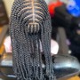 Basic Two Strand Twist