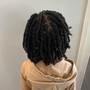 Sister locks with your natural hair