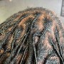 Starter Locs