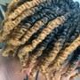 Two Strand Twists