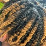 Two Strand Twists